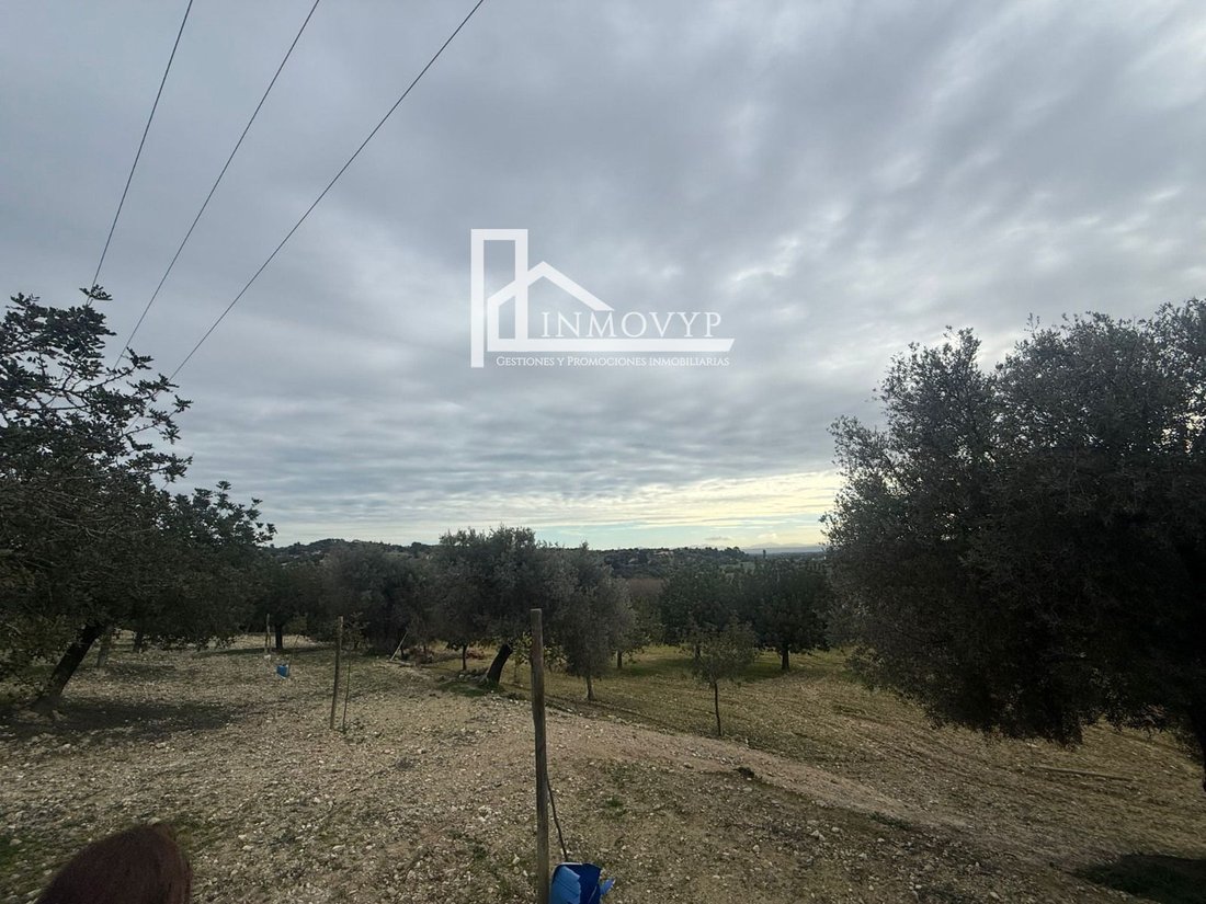 Finca a Selva, Isole Baleari, Spagna 2 - 17134268