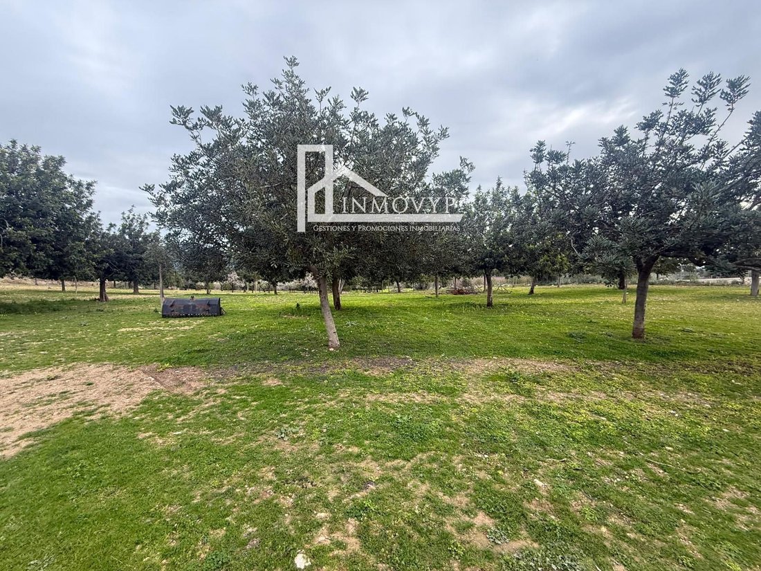 Finca a Selva, Isole Baleari, Spagna 4 - 17134268