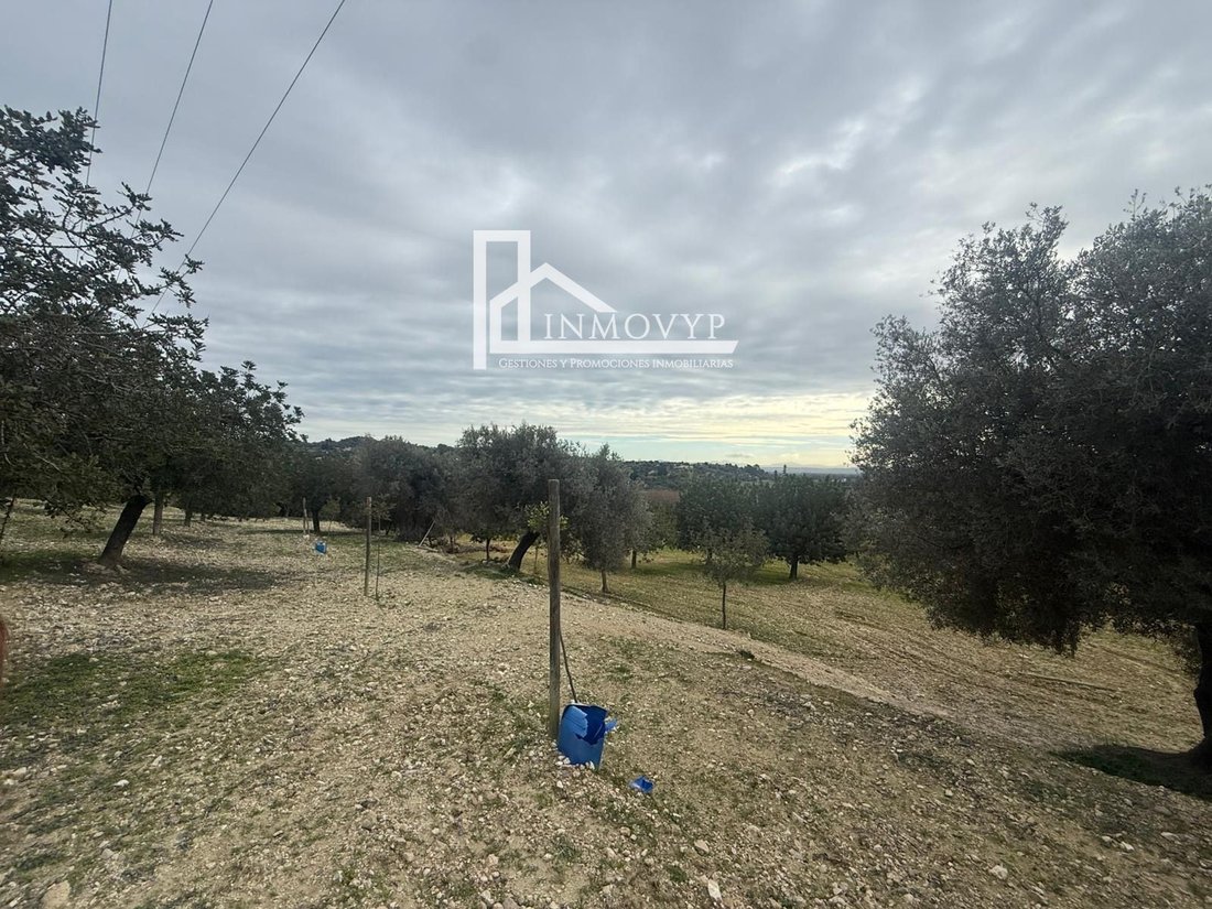 Finca a Selva, Isole Baleari, Spagna 3 - 17134268