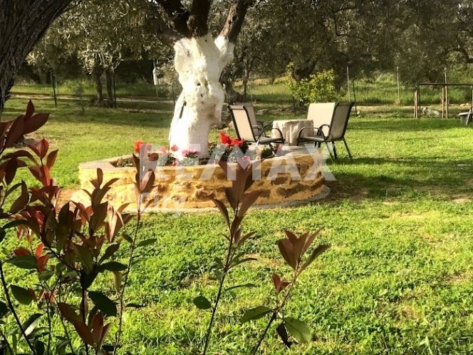 Apartment in Alexandroupoli, Macedonia and Thrace, Greece 3 - 17133267