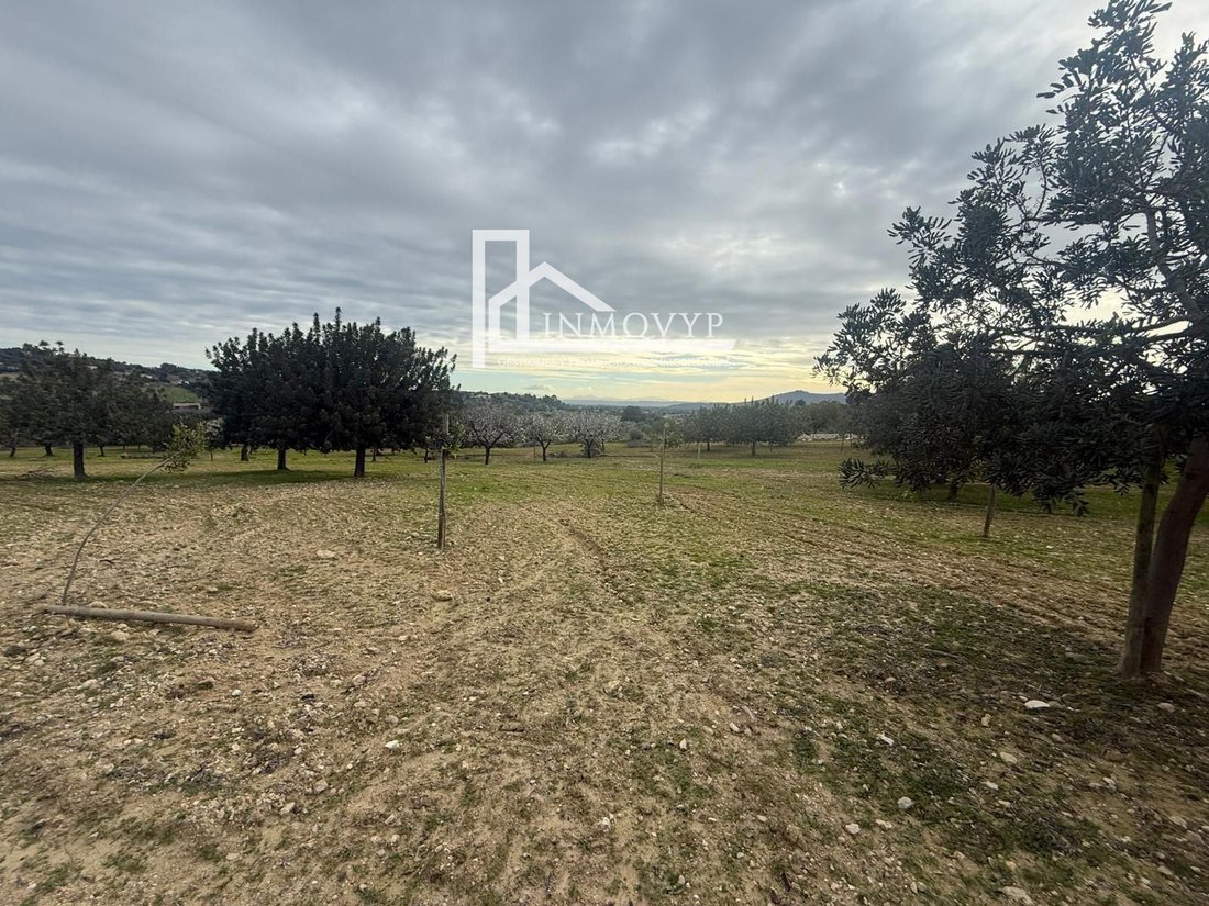 Finca a Selva, Isole Baleari, Spagna 1 - 17134268