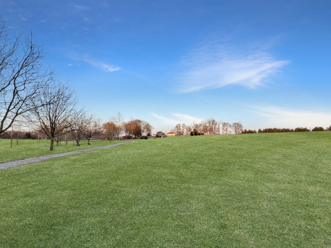 Farm Ranch in Paris, Tennessee, United States 3 - 17136677