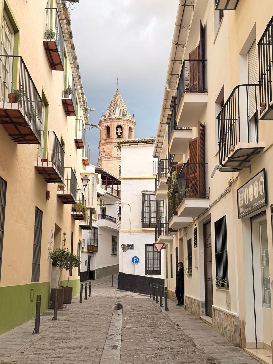 Chalet in Velez-Malaga, Andalusia, Spain 1 - 17135166