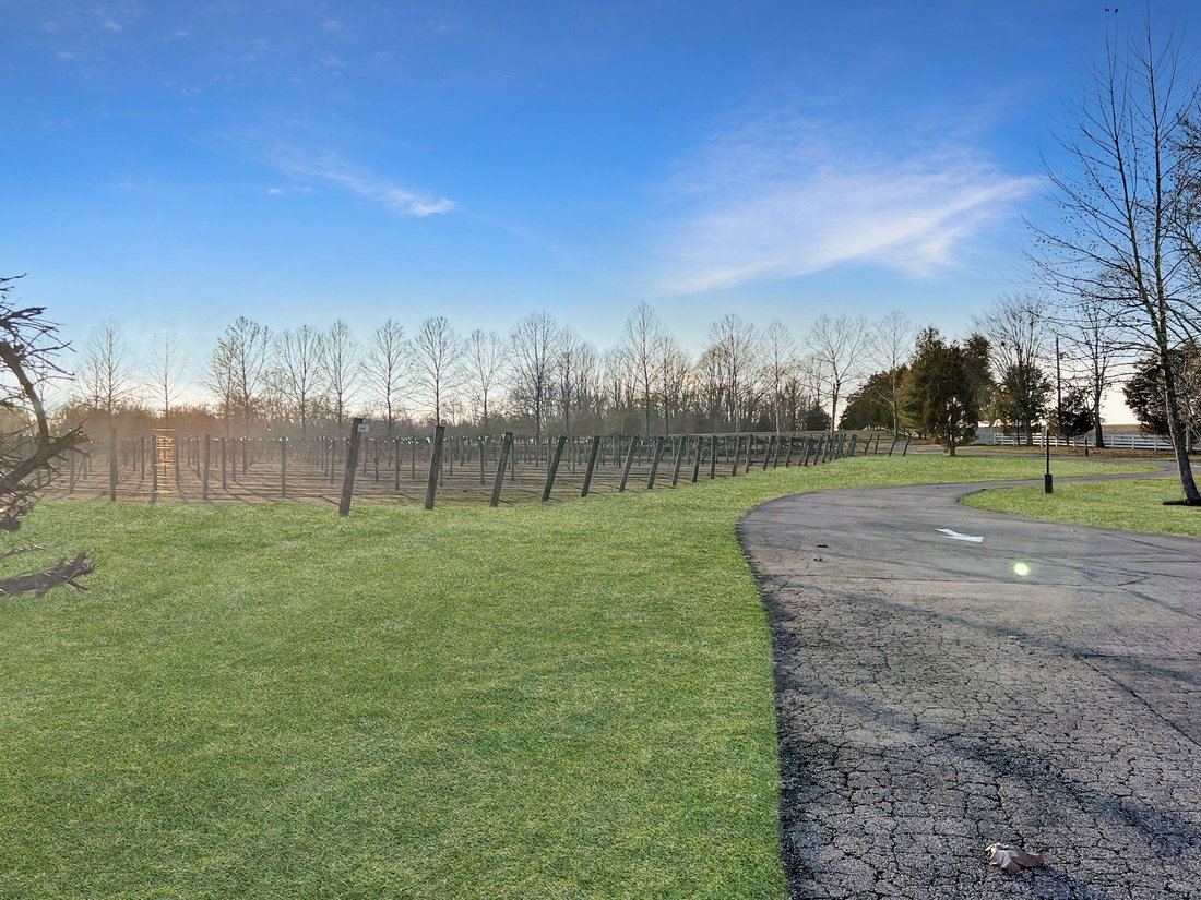 Farm Ranch in Paris, Tennessee, United States 4 - 17136677