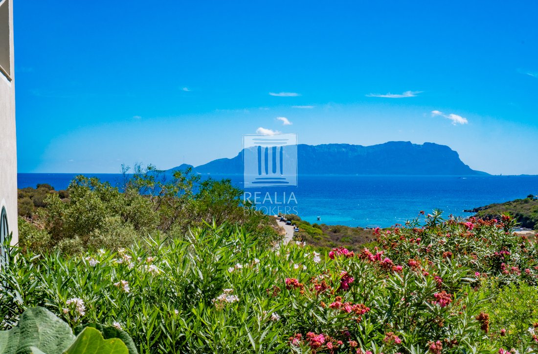 Villa in Punta Pedrosa, Sardinia, Italy 2 - 17138065