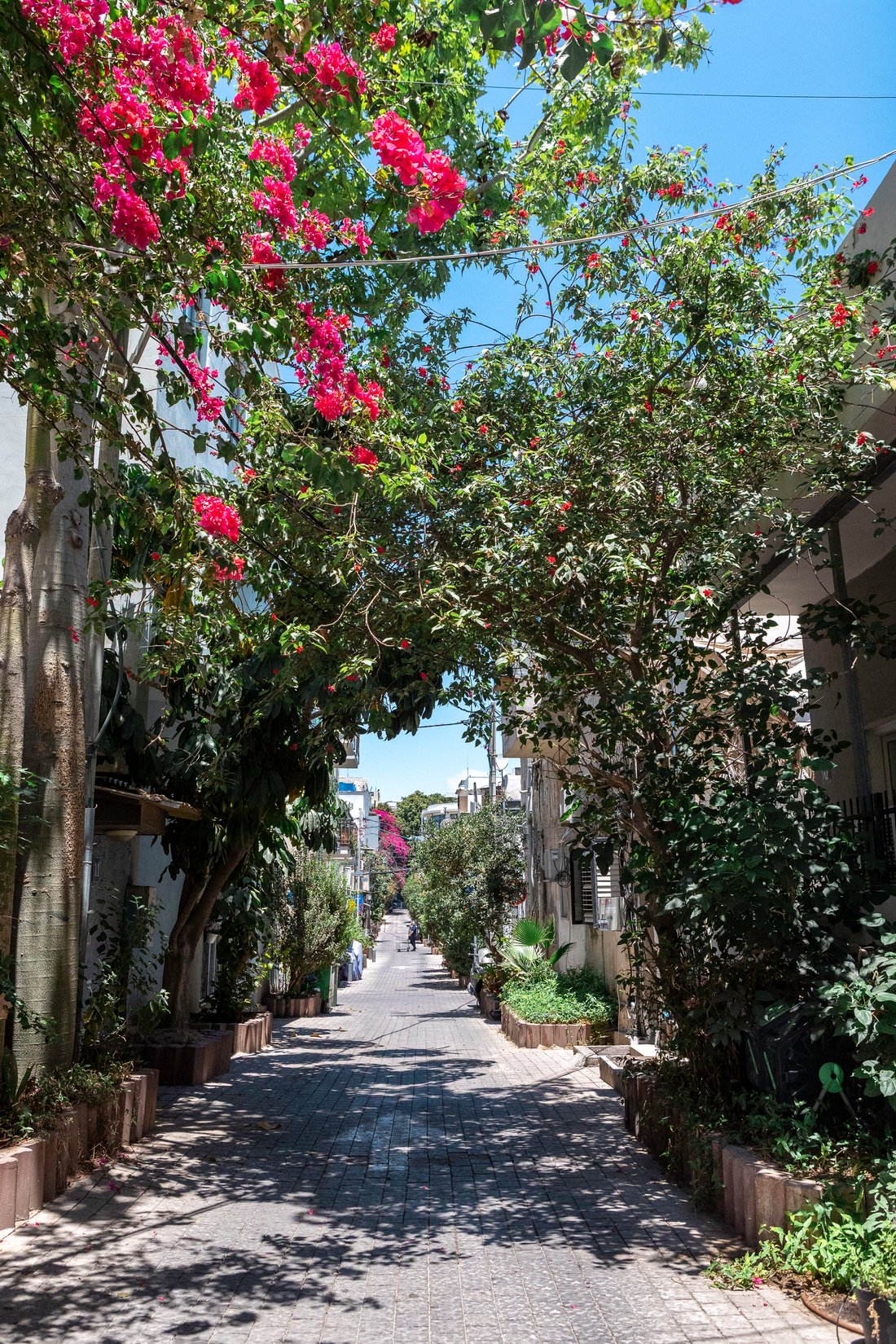 Villa in Tel Aviv-Yafo, Tel Aviv District, Israel 3 - 17137891