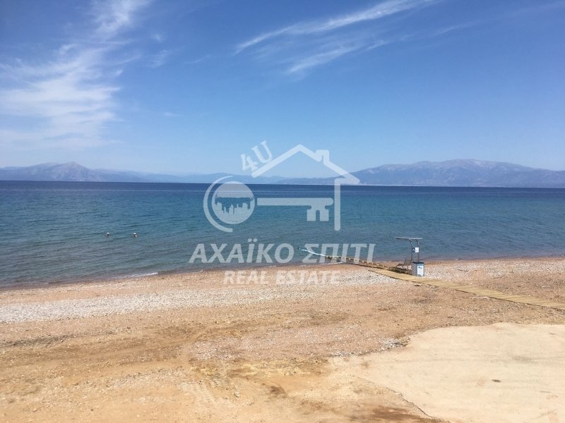 Land in Lakkopetras, Larissos, Peloponnese, Western Greece and the Ionian 1 - 17137705
