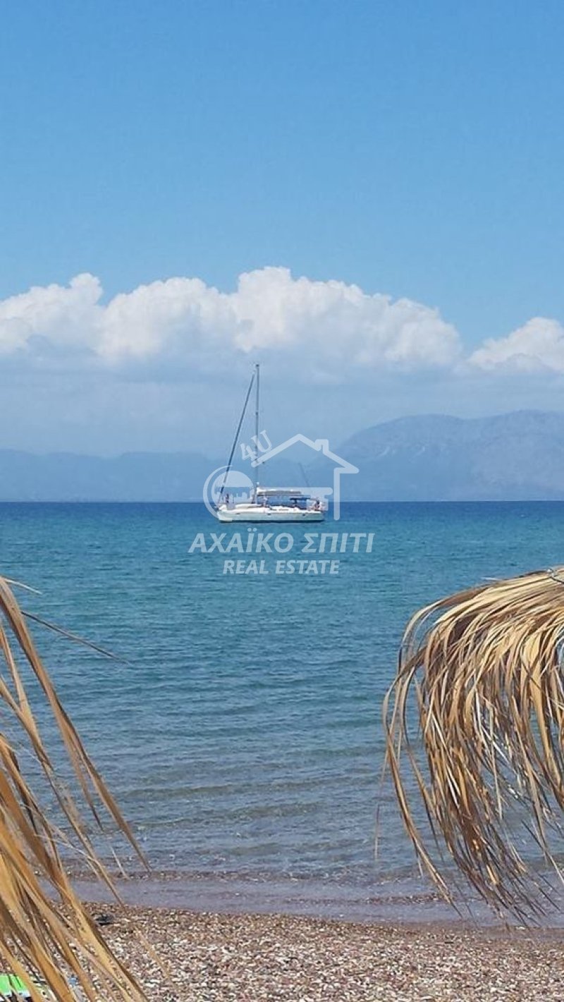 Land in Lakkopetras, Larissos, Peloponnese, Western Greece and the Ionian 2 - 17137705