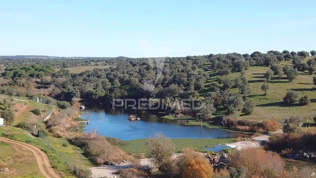Farm Ranch in Torrao, Setubal, Portugal 4 - 17137966