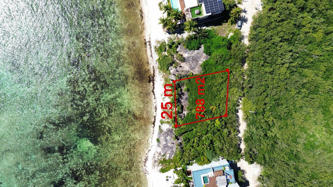 Land in Dreams Tulum, Quintana Roo, Mexico 1 - 17138258
