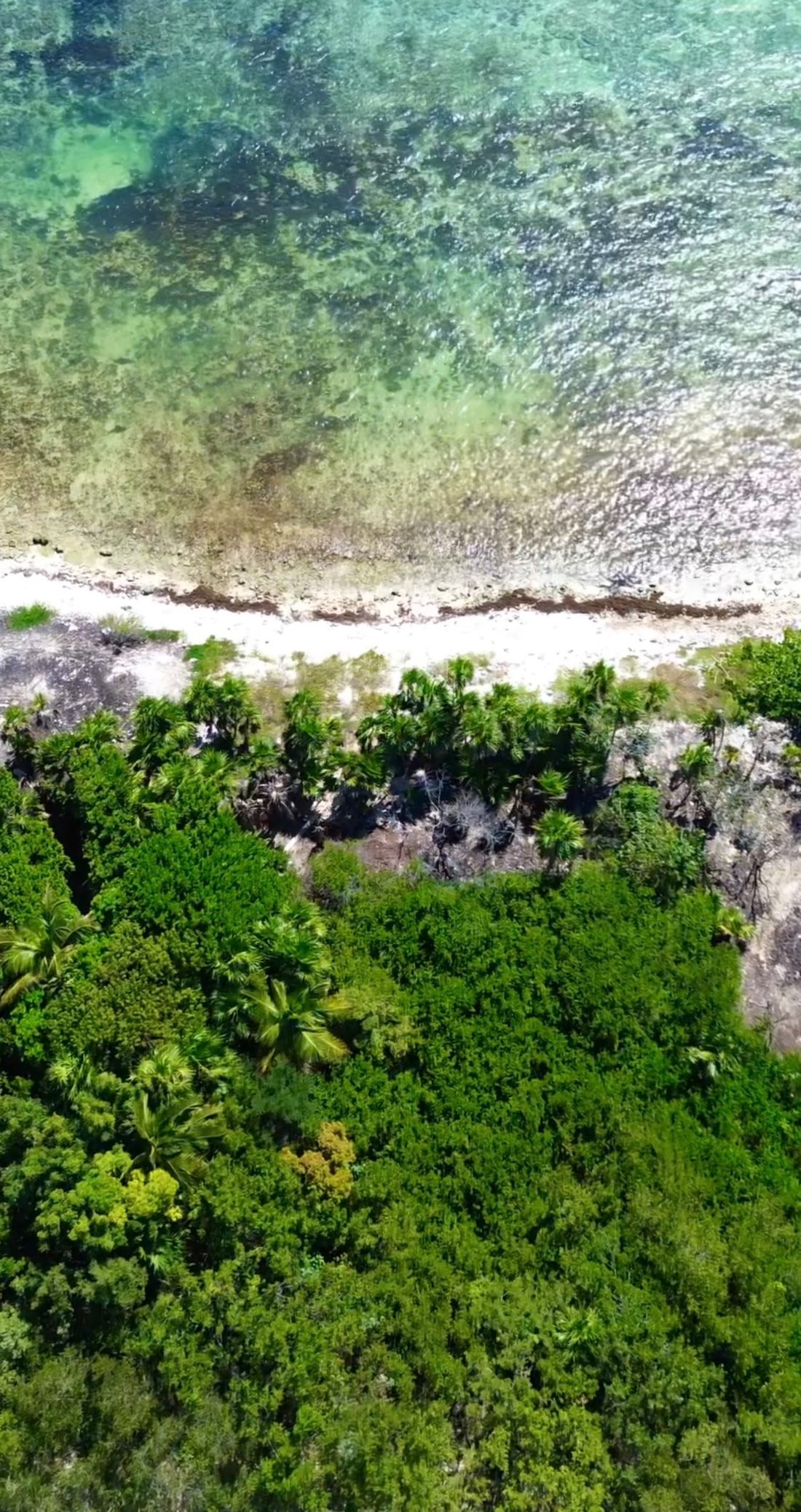 Land in Dreams Tulum, Quintana Roo, Mexico 5 - 17138258