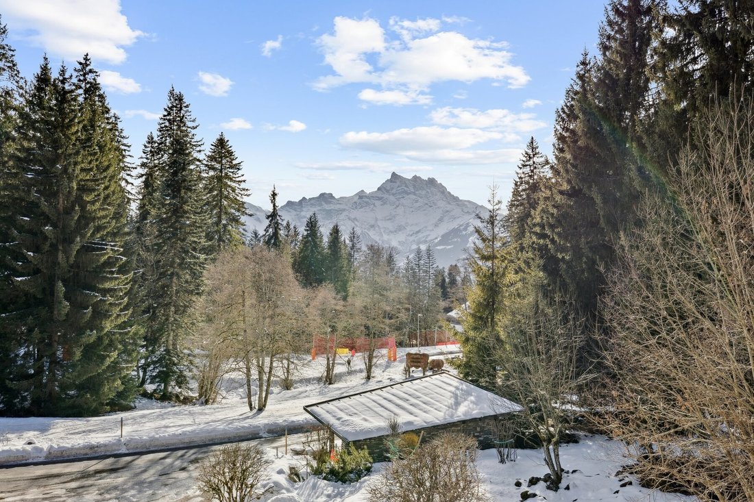 Exceptional Duplex Ski In/Out Dents Du Midi View