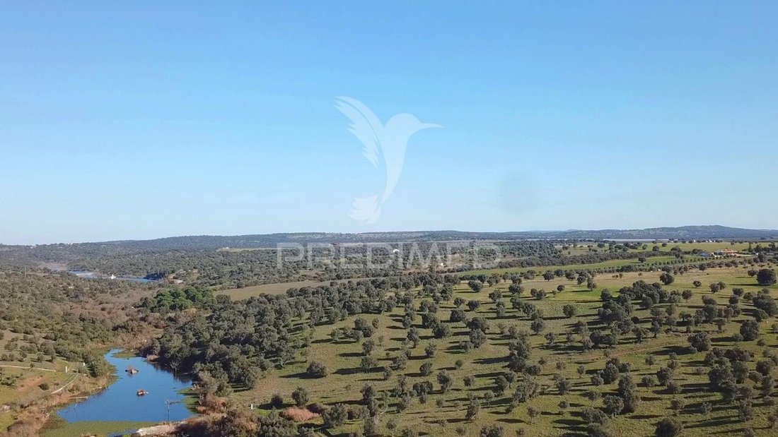 Farm Ranch in Torrao, Setubal, Portugal 5 - 17137966