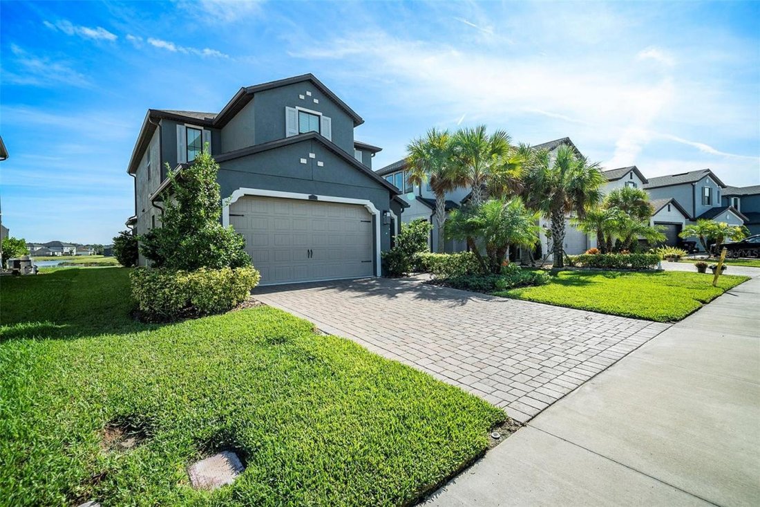 House in Wesley Chapel, Florida, United States 4 - 17138257
