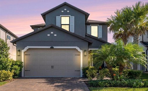 House in Wesley Chapel, Florida, United States 1