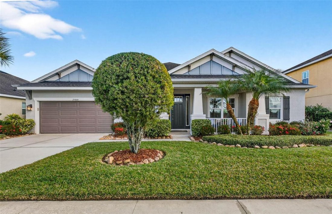 House in Wesley Chapel, Florida, United States 1 - 17138261
