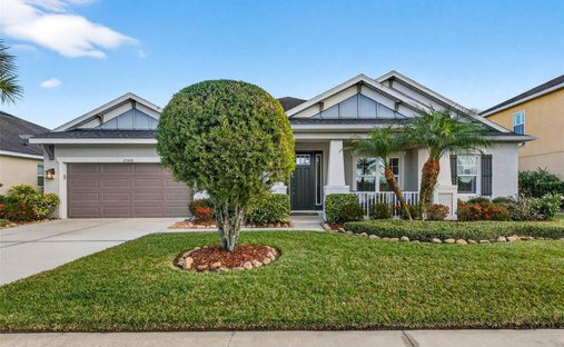 House in Wesley Chapel, Florida, United States 1