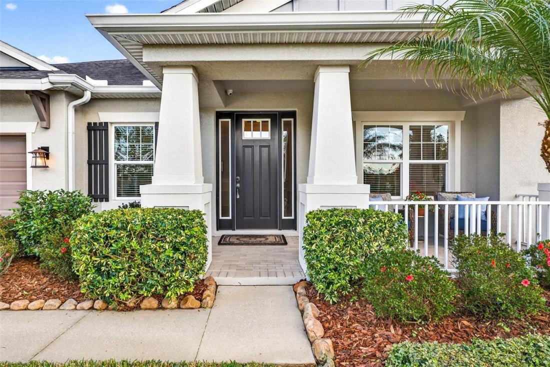 House in Wesley Chapel, Florida, United States 4 - 17138261