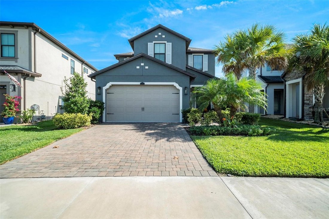 House in Wesley Chapel, Florida, United States 5 - 17138257