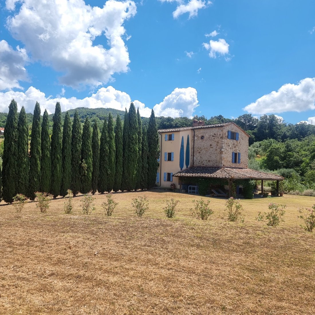 Villa in Riparbella, Tuscany, Italy 4 - 17139142