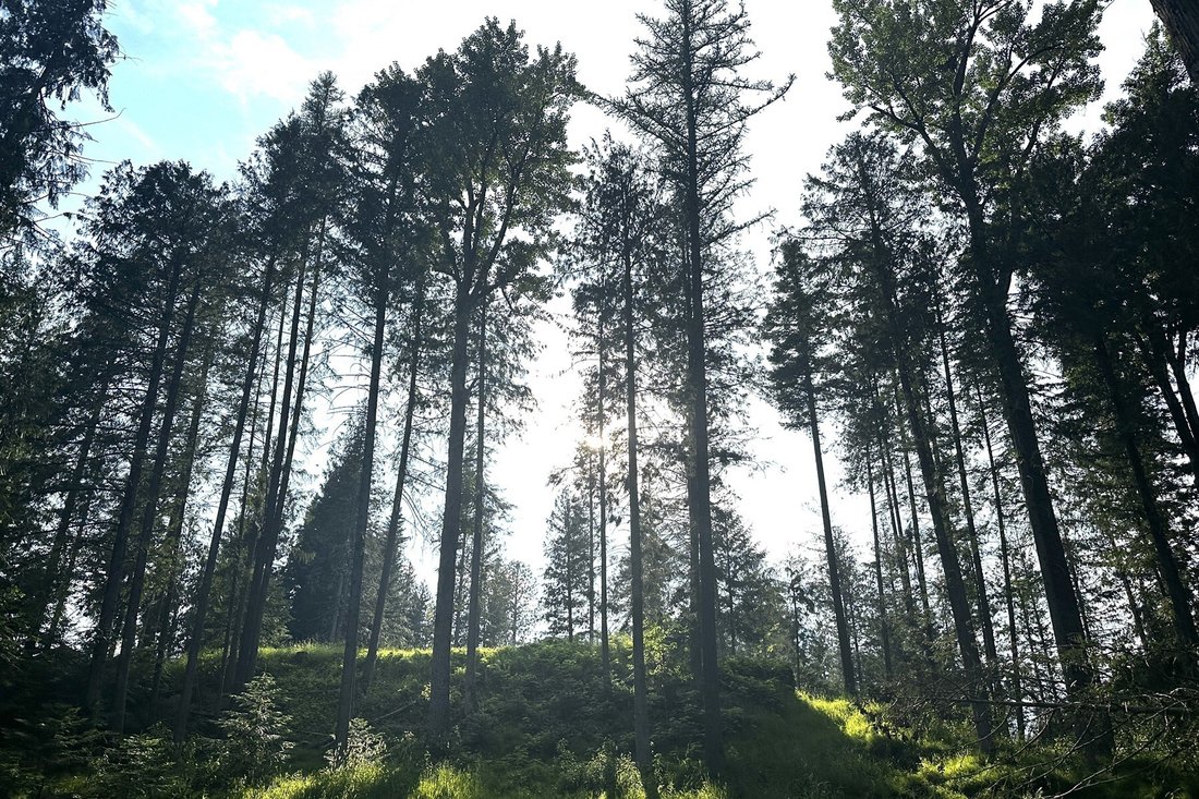 Land in Sandpoint, Idaho, United States 3 - 17139127