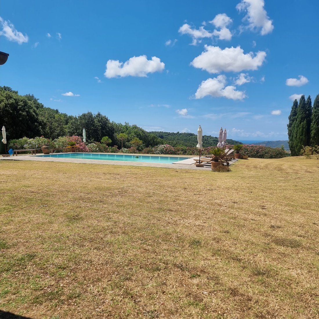 Villa in Riparbella, Tuscany, Italy 5 - 17139142