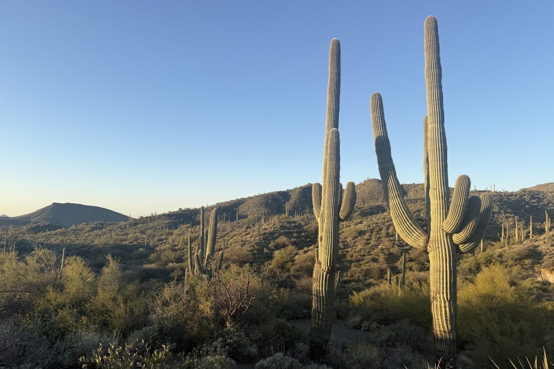 Land in Scottsdale, Arizona, United States 4 - 17139274