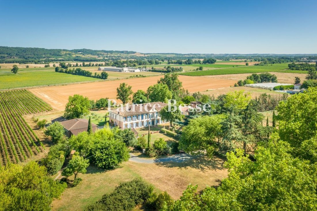 House in Vieux Gaillac, Gaillac, France 1 - 16311656