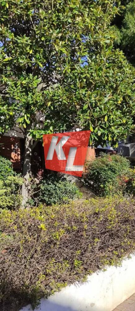 House in Kifisia, Attica, Greece 2 - 17139826
