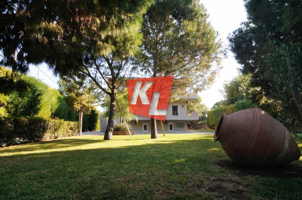 House in Community of Kineta, Megara, Greece 3 - 17140330