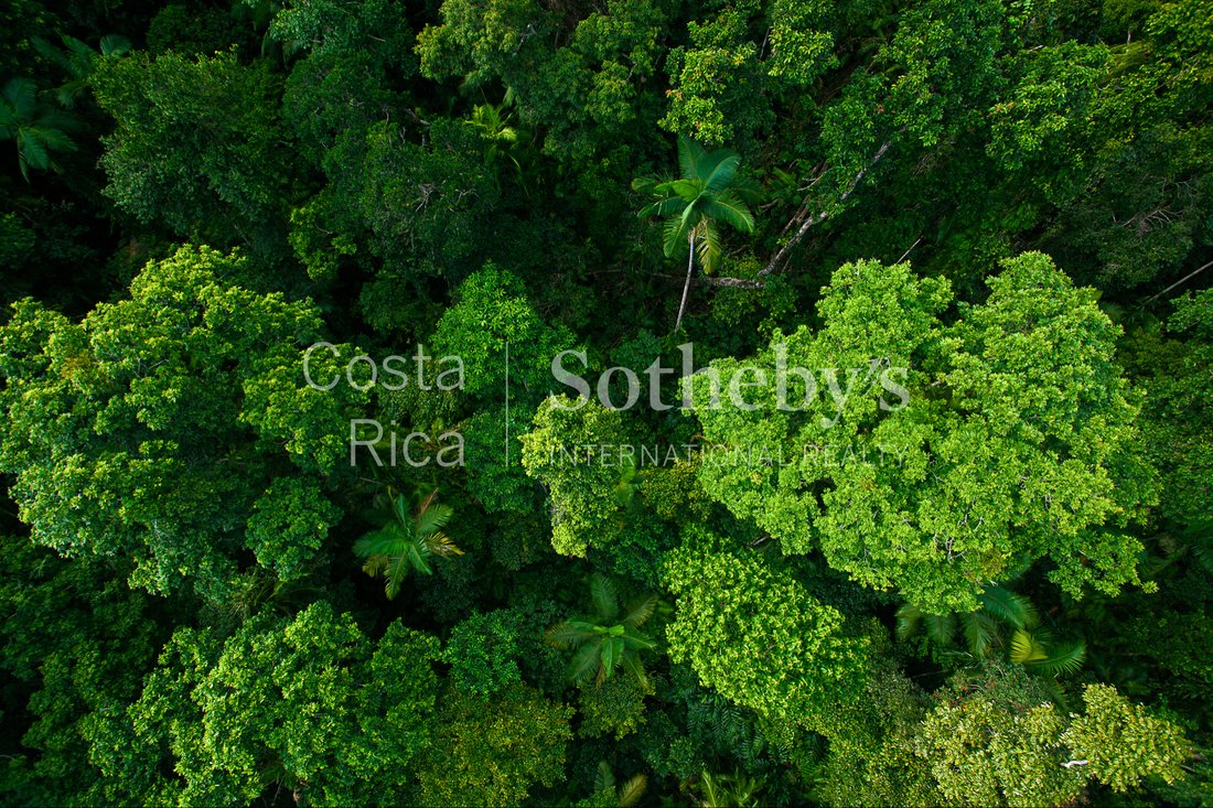 Land in Asunción, Limón Province, Costa Rica 4 - 10907264