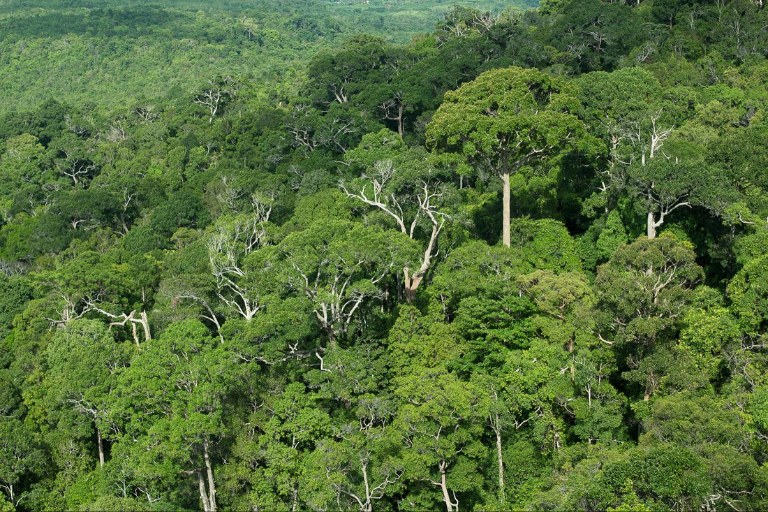 Land in Asunción, Limón Province, Costa Rica 1 - 10907264