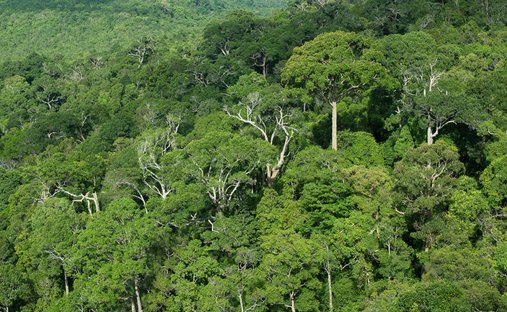 Land in Asunción, Limón Province, Costa Rica 1