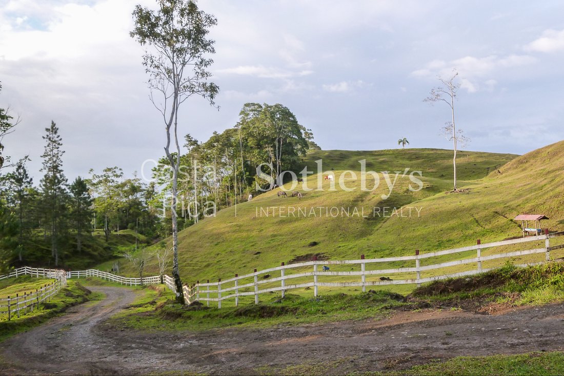 Farm Ranch in Turrialba, Turrialba, Costa Rica 3 - 10889494