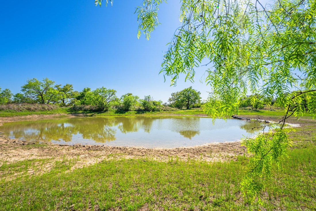 Farm Ranch in Valley Spring, Texas, United States 5 - 15662337