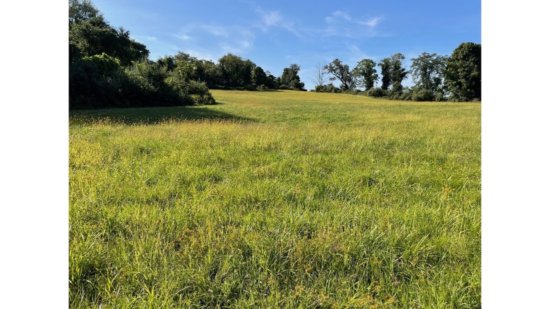 Brewster, New York, United States 4 - 16279891