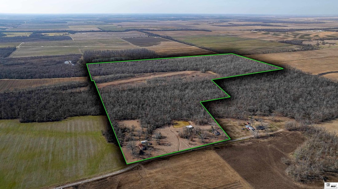 Terreno a Epps, Louisiana, Stati Uniti 1 - 17091390