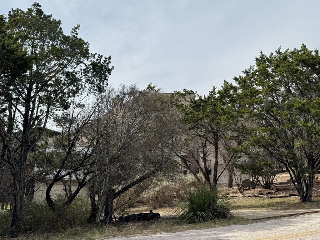 House in Kerrville, Texas, United States 5 - 17141347