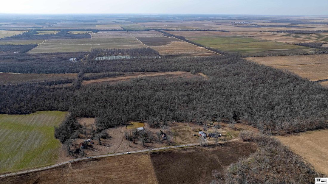 Terreno a Epps, Louisiana, Stati Uniti 3 - 17091390