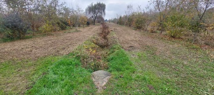 Land in San Donà di Piave, Veneto, Italy 3 - 17143293