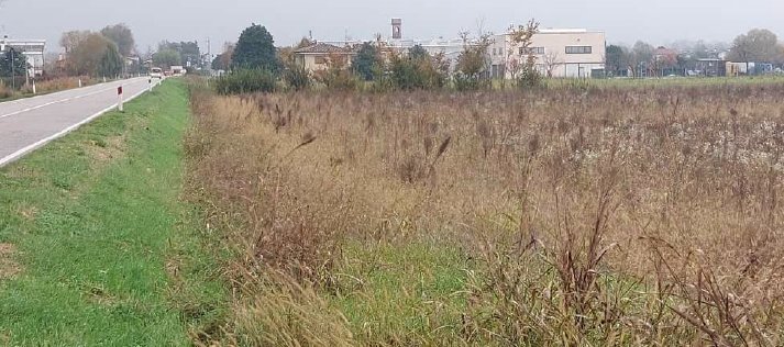 Land in San Donà di Piave, Veneto, Italy 1 - 17143293