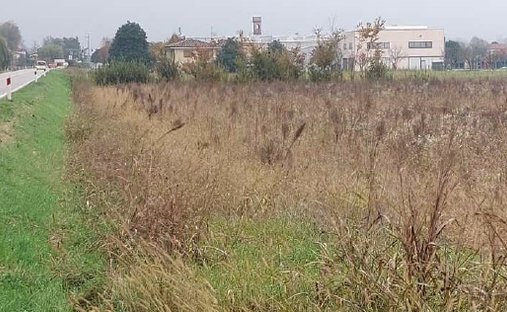 Land in San Donà di Piave, Veneto, Italy 1