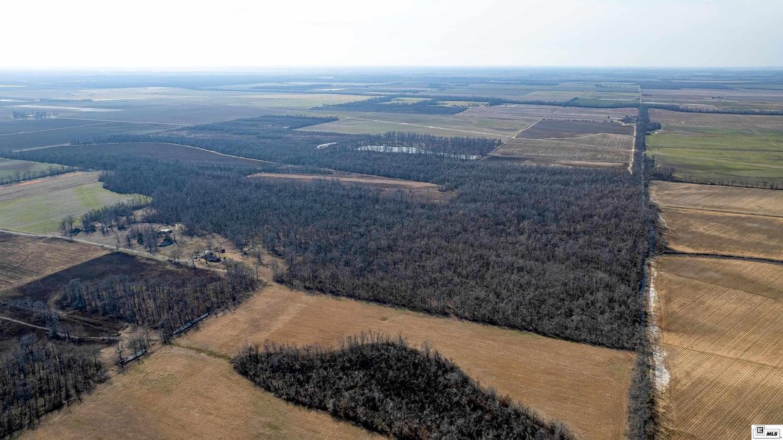 Terreno a Epps, Louisiana, Stati Uniti 5 - 17091390