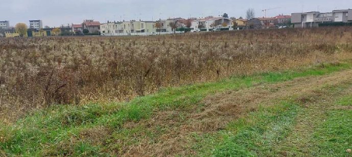 Land in San Donà di Piave, Veneto, Italy 2 - 17143293
