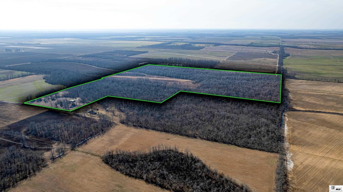 Terreno a Epps, Louisiana, Stati Uniti 4 - 17091390