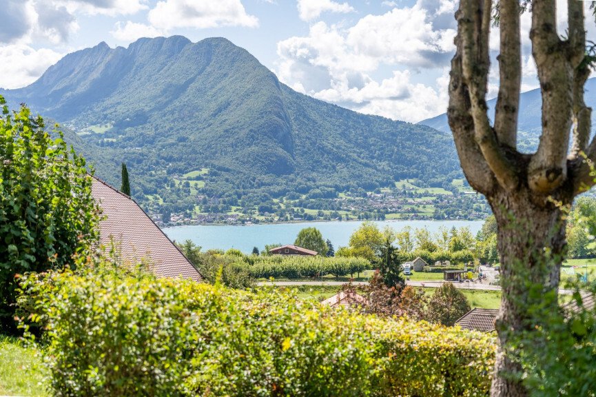 Estate in Talloires, Talloires-Montmin, France 5 - 17139997