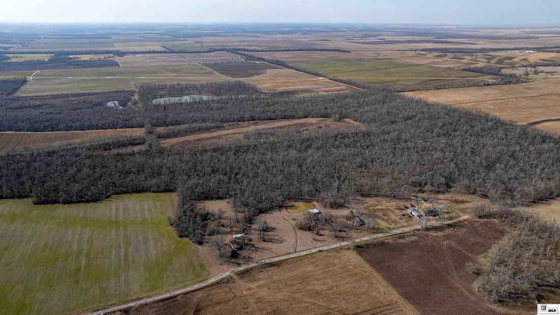 Terreno a Epps, Louisiana, Stati Uniti 2 - 17091390