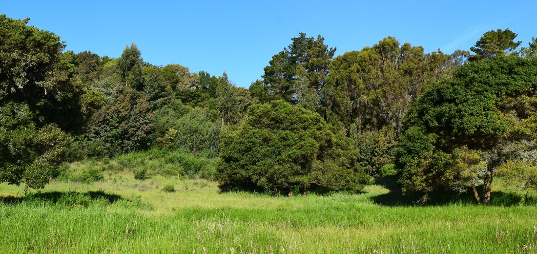 Land in Belvedere, California, United States 2 - 13887247