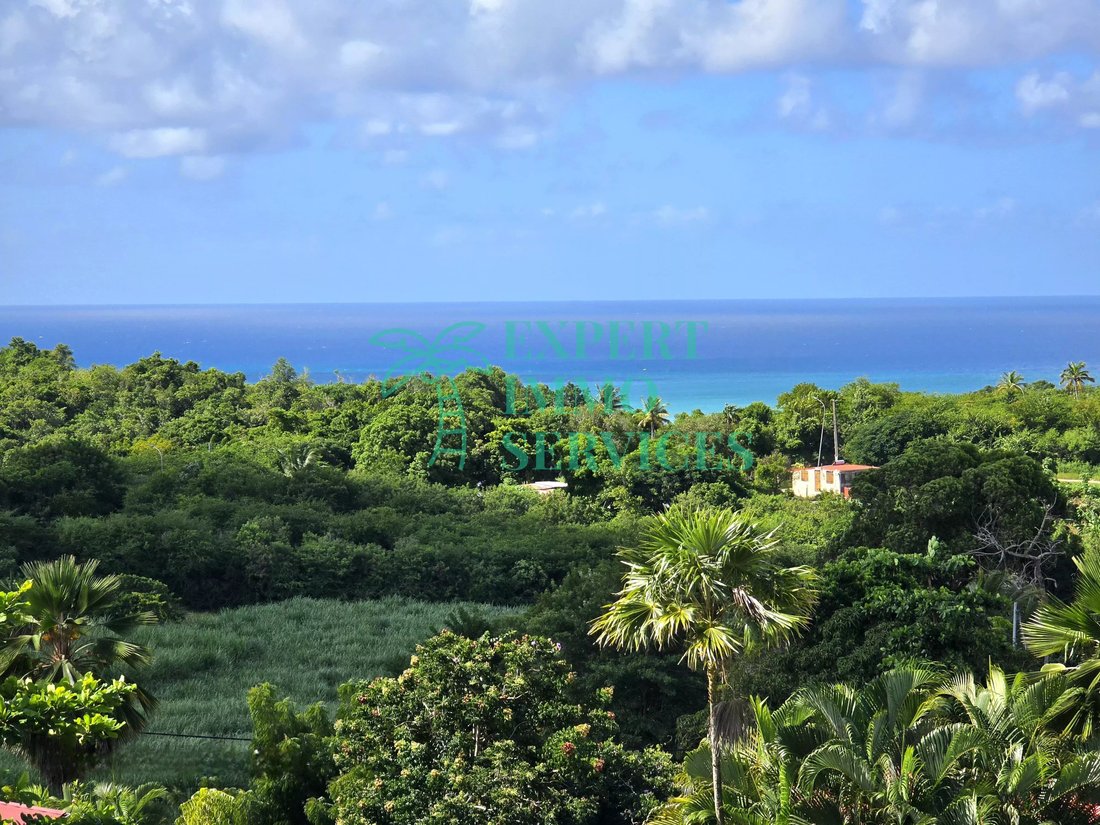 Villa in Grand-Bourg, Grande-Terre, Guadeloupe 4 - 17139708