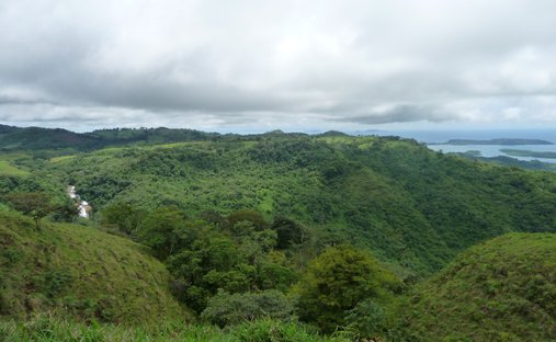 Terreno en Chiriquí, Provincia de Chiriquí, Panamá 1